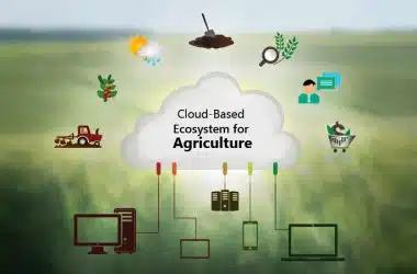 Plasma to Develop a Cloud-Based Business Ecosystem for Agriculture Client