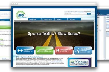 Enterprise Financial Group