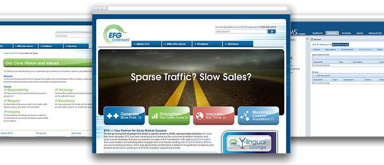 Enterprise Financial Group (EFG)